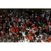 Lehigh Valley Phantoms Fans