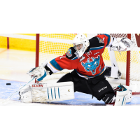 Kelowna Rockets in Action