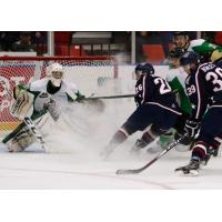 Tri-City Americans vs. Prince Albert Raiders