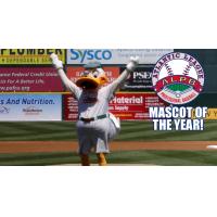 Long Island Ducks Mascot QuackerJack