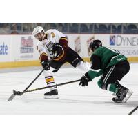 Peter Harrold of the Chicago Wolves vs. the Iowa Stars
