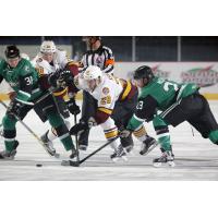 Jacob Doty (28) and Spencer Asuchak (26) of the Chicago Wolves vs. the Iowa Stars