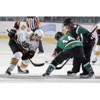 Spencer Asuchak of the Chicago Wolves vs. the Iowa Stars