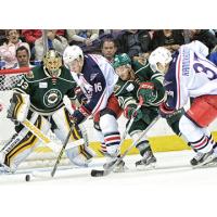 Lake Erie Monsters vs. Iowa Wild