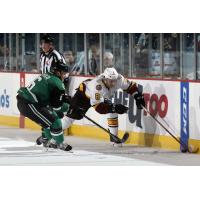 Texas Stars vs. Chicago Wolves