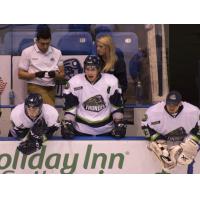 Bloomington Thunder Bench