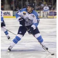 Forward Peter Sakaris with the Evansville IceMen