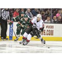 Lake Erie Monsters vs. Iowa Wild