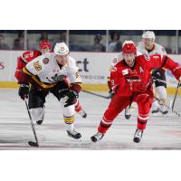 Magnus Paajarvi of the Chicago Wolves vs. the Charlotte Checkers