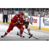 Jordan Caron of the Chicago Wolves Battles for the Puck vs. the Charlotte Checkers