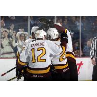 Chicago Wolves Celebrate Goal vs. the Charlotte Checkers