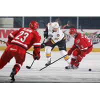 Jeremy Welsh of the Chicago Wolves vs. the Charlotte Checkers