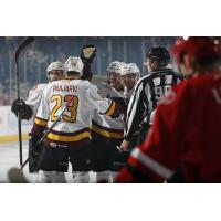 Chicago Wolves Celebrate a Goal vs. the Charlotte Checkers