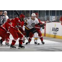 Yannick Veilleux of the Chicago Wolves Fights Through a Crowd of Charlotte Checkers
