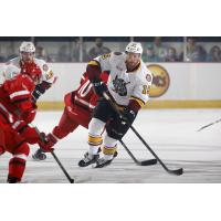 Jeremy Welsh of the Chicago Wolves vs. the Charlotte Checkers