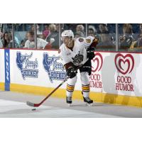 Ty Rattie of the Chicago Wolves vs. the Charlotte Checkers