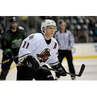 Atlanta Gladiators vs. the Florida Everblades