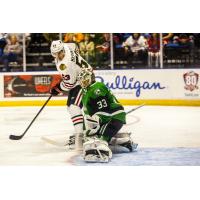 Texas Stars at Rockford IceHogs