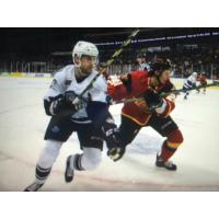 Evansville IceMen Battle Indy Fuel