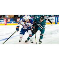 Bakersfield Condors vs. San Jose Barracuda