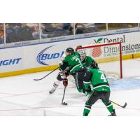 Texas Stars Defend the Goal vs. the Rockford IceHogs