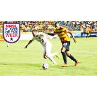 Fort Lauderdale Strikers Forward Stefano Pinho