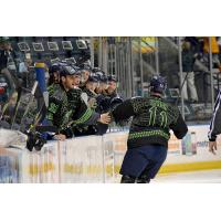 Kevin Lynch is Congratulated by his Florida Everblades Teammates