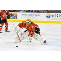 Missouri Mavericks Goaltender Josh Robinson
