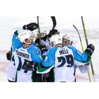 Alaska Aces Celebrate a Goal