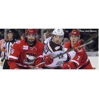 Grand Rapids Griffins vs. the Charlotte Checkers