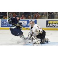 Florida Everblades Take a Shot at Atlanta Gladiators Goal