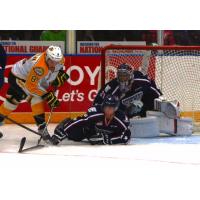 Brandon Wheat Kings with a Scoring Opportunity vs. the Tri-City Americans