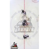 Manchester Monarchs Face off with the Adirondack Thunder