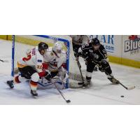 Manchester Monarchs in Back of Adirondack Thunder Goal