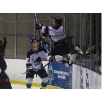 Lone Star Brahmas Leap in Celebration of Goal