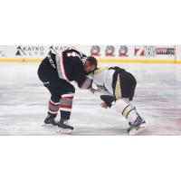 Brampton Beast Fight vs. Wheeling Nailers