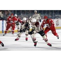 Pat Cannone (12) and Magnus Paajarvi (23) of the Chicago Wolves vs. the Charlotte Checkers