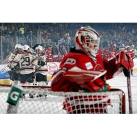 Chicago Wolves Celebrate a Goal vs. the Charlotte Checkers