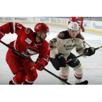 Magnus Paajarvi of the Chicago Wolves Prepares for Contact vs. the Charlotte Checkers