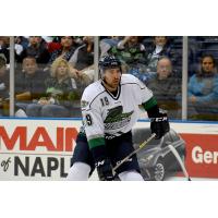 Florida Everblades Face the Greenville Swamp Rabbits