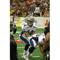 Tampa Bay Storm Offensive Assistant Coach Shane Stafford in Playing Days