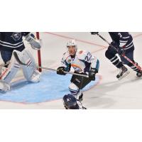 Orlando Solar Bears Forward Denver Manderson