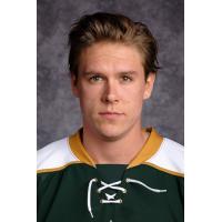 Colorado Eagles Forward Ludwig Karlsson