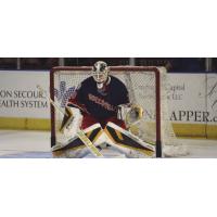 Greenville's Swamp Rabbits Goaltender Adam Morrison