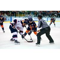 Flint Firebirds Face-Off against Saginaw Spirit