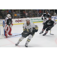 Derek Army of the Wheeling Nailers vs. the Evansville IceMen