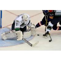 Florida Everblades Goaltender Daniel Altshuller Prepares to Smother the Puck