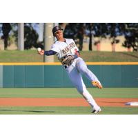 Brevard County Manatees 2B Chris McFarland