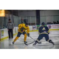 Springfield Jr Blues with the Puck
