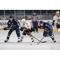 Ivan Barbashev of the Chicago Wolves Battles the Manitoba Moose